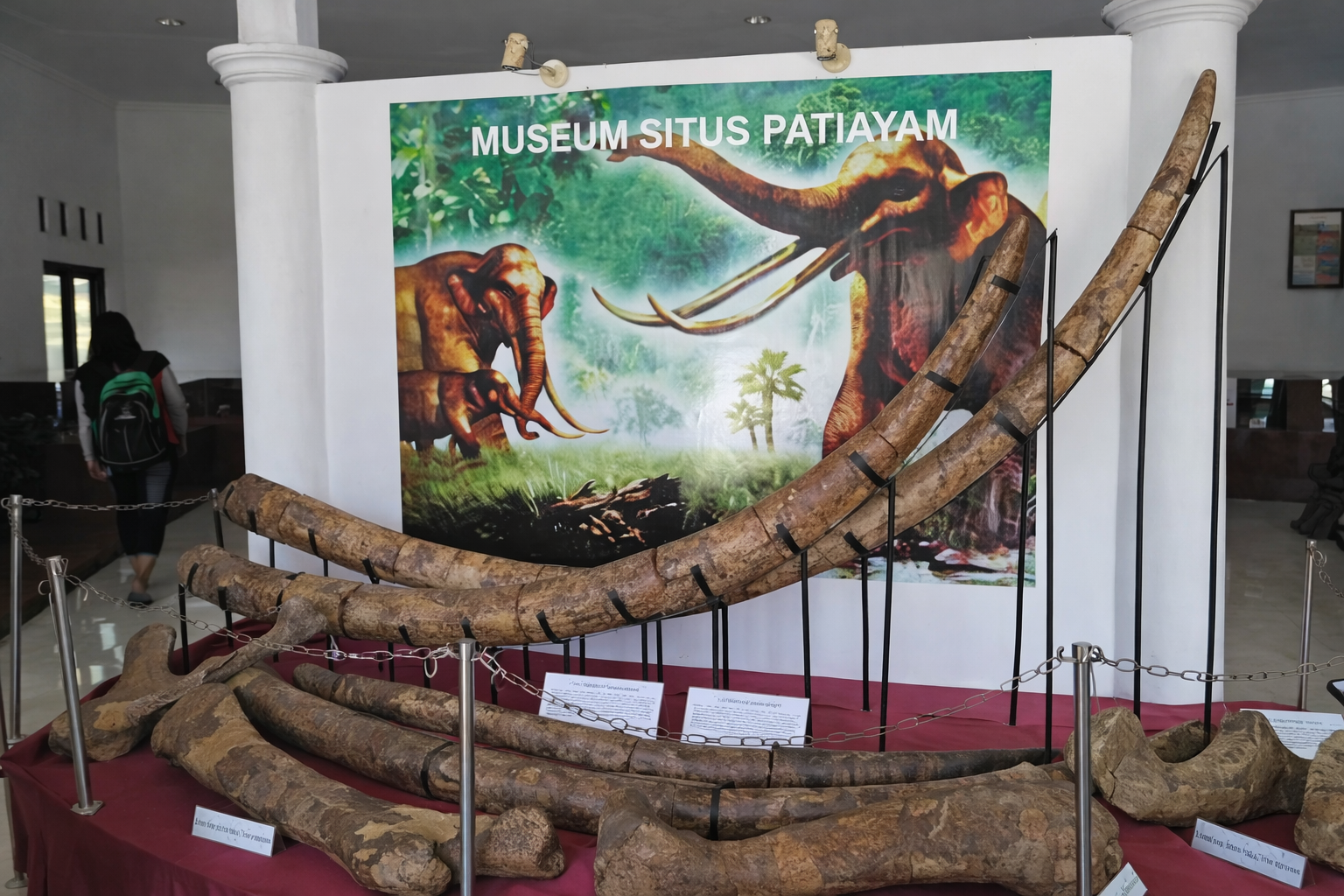 Museum Situs Purbakala Patiayam thumbnail